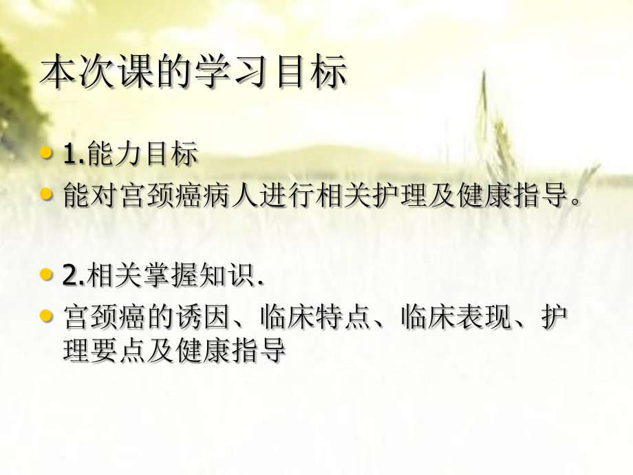 宫颈癌的护理.ppt_第2页