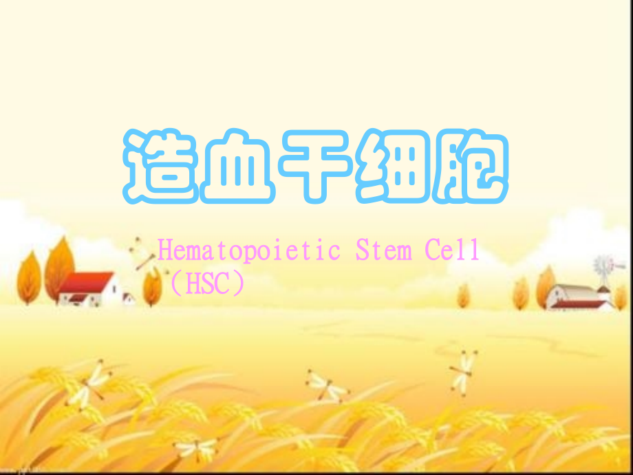 造血干细胞课件.ppt_第1页
