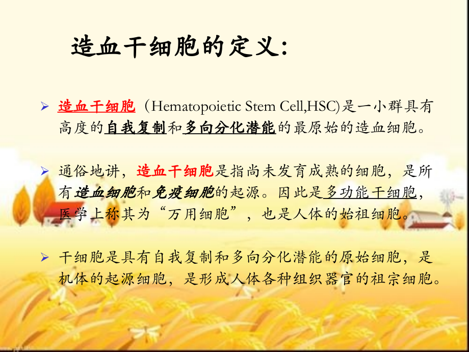 造血干细胞课件.ppt_第2页
