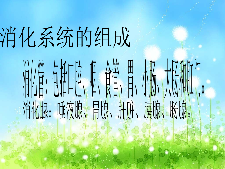 消化系统疾病的饮食指导课件.ppt_第2页