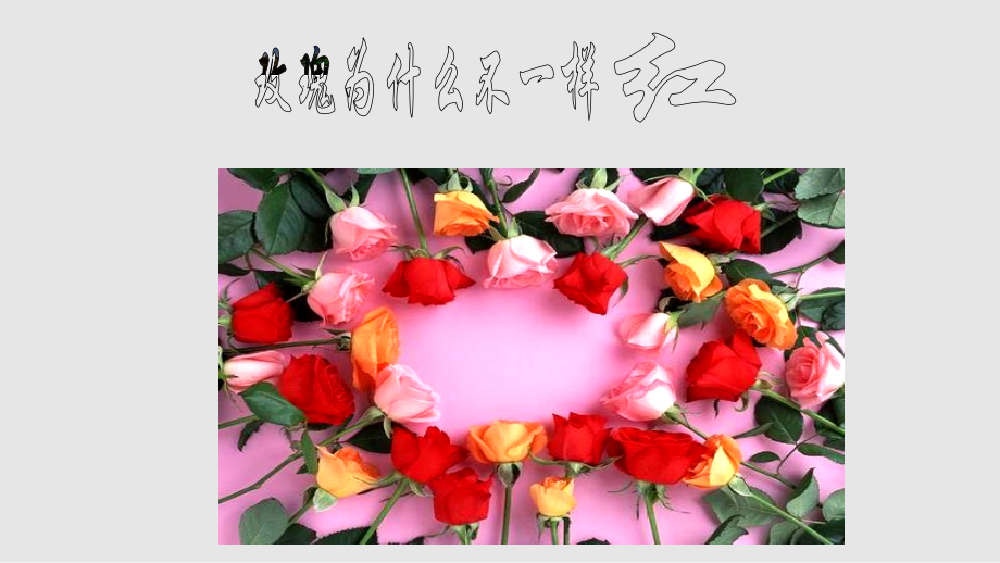 生物的变异MicrosoftPowerPoint演示文稿学习PPT教案.pptx_第2页