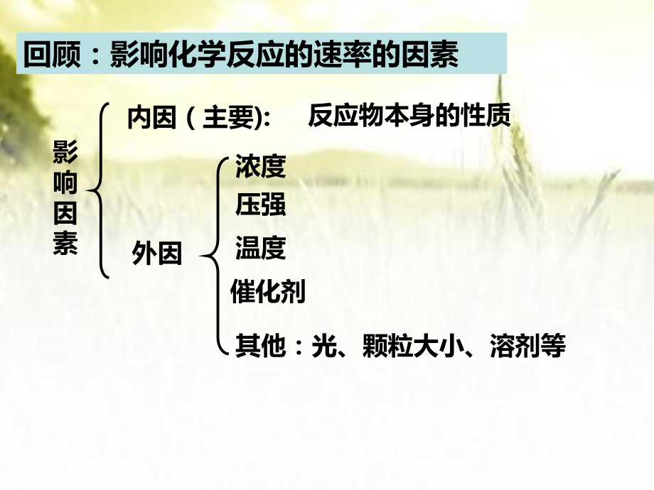 高中化学选修4影响化学反应速率的因素.ppt_第2页