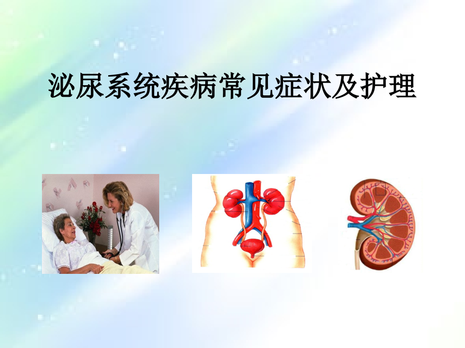 第一节泌尿系统疾病常见症状体征的护理.ppt_第1页