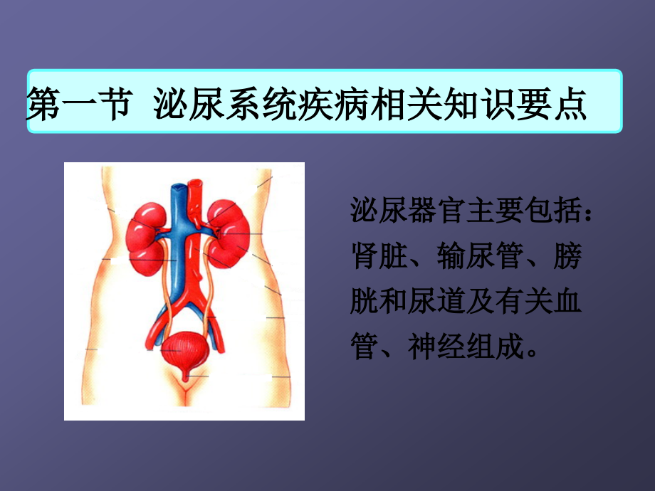 第一节泌尿系统疾病常见症状体征的护理.ppt_第2页