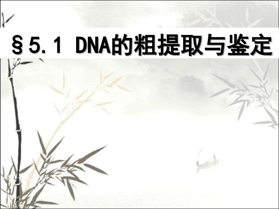 高中生物选修一DNA的粗提取与鉴定课件.ppt_第2页