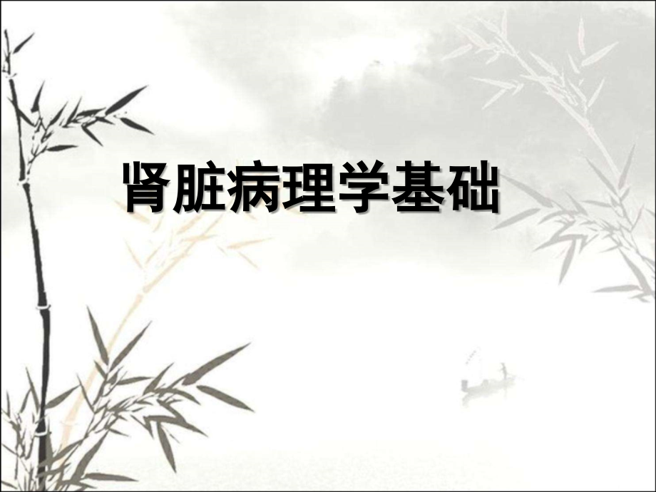 肾脏病理基础.ppt_第1页