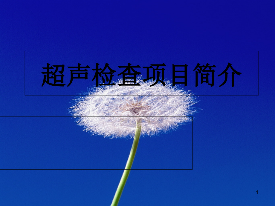 超声检查项目简介.ppt_第1页