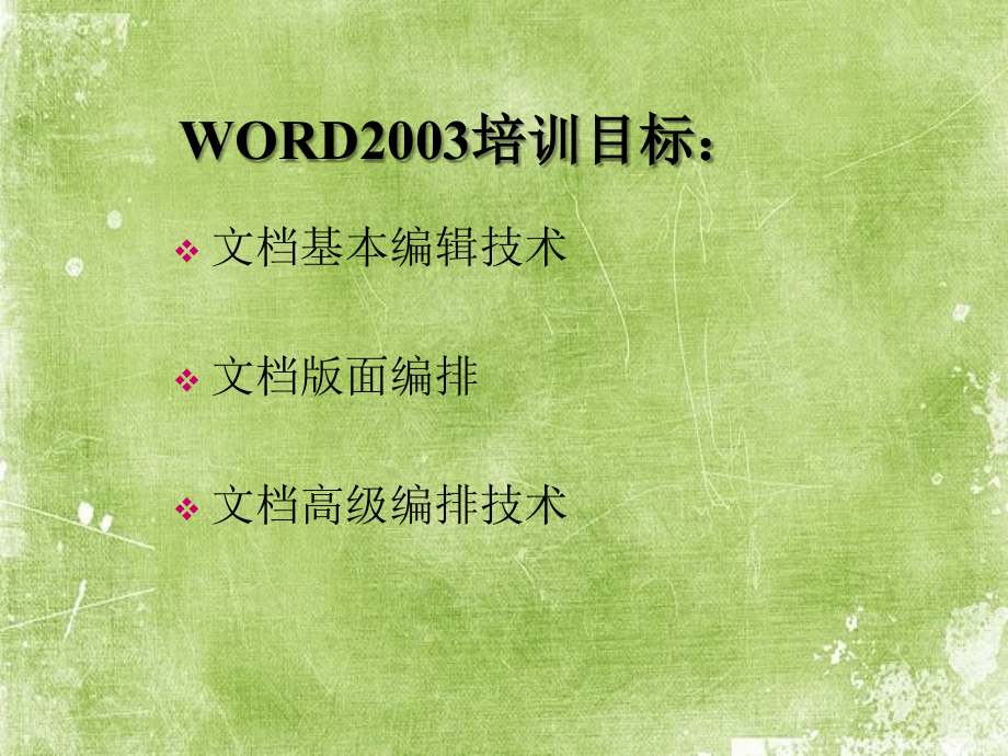 WORD的基础知识.ppt_第2页