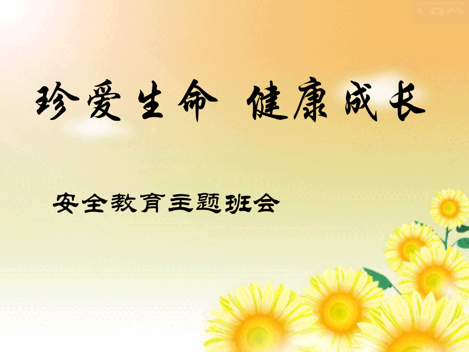 安全教育主题班会课《珍爱生命健康成长》.ppt_第2页