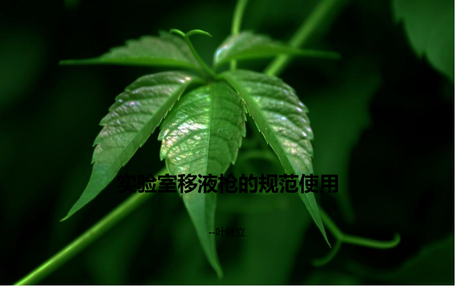 实验室各类移液枪的规范使用叶继立.ppt_第1页