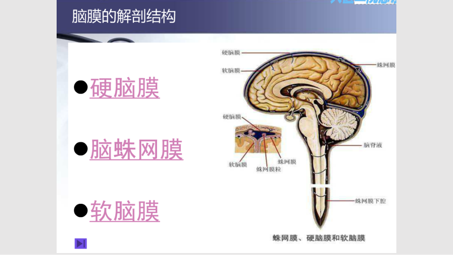硬膜外血肿影像表现学习PPT教案.pptx_第2页