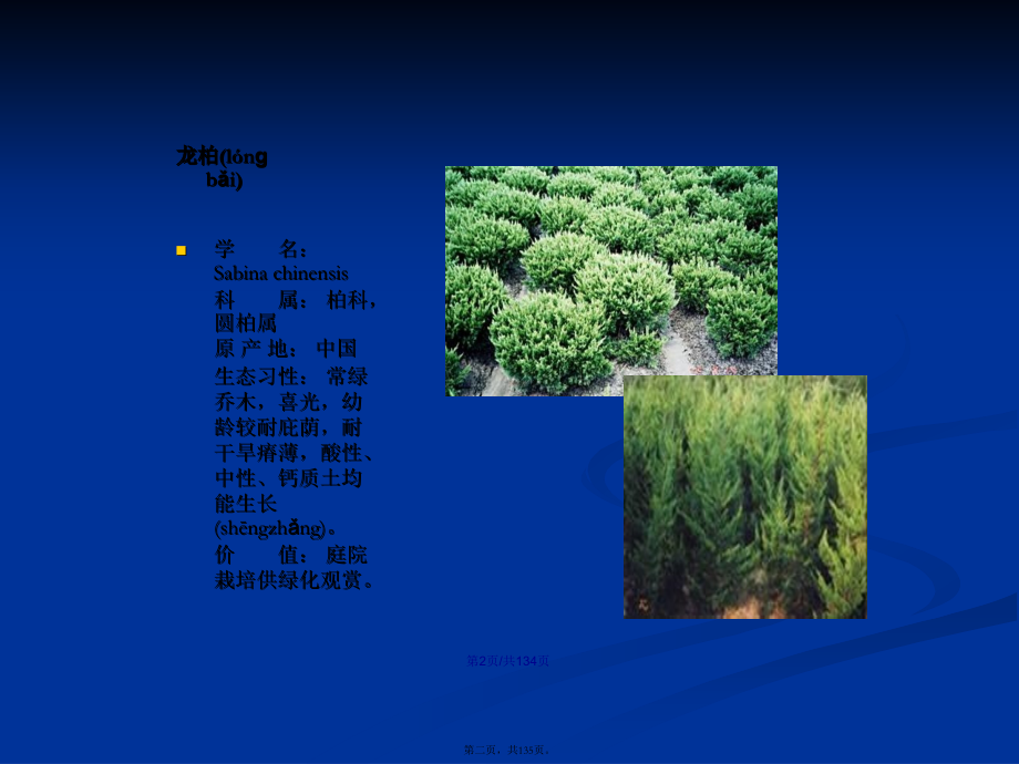 认识园林植物2学习教案.ppt_第2页