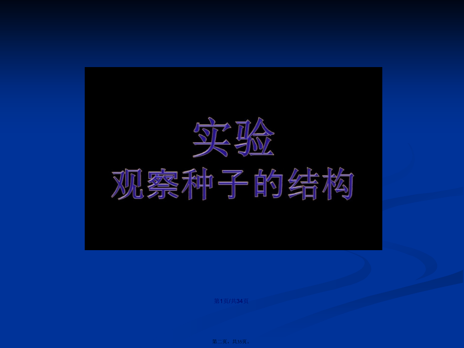 观察种子的结构实验学习教案.pptx_第2页