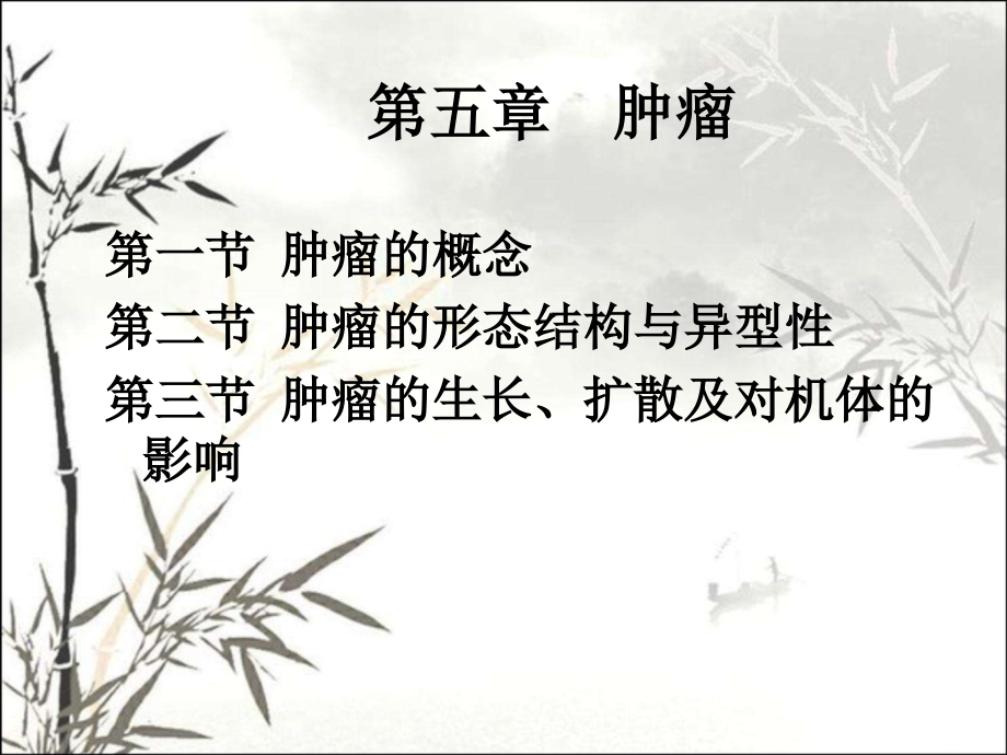 肿瘤课件.pptx_第2页