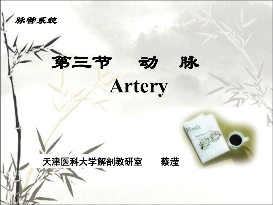 系统解剖学——动脉.ppt_第1页
