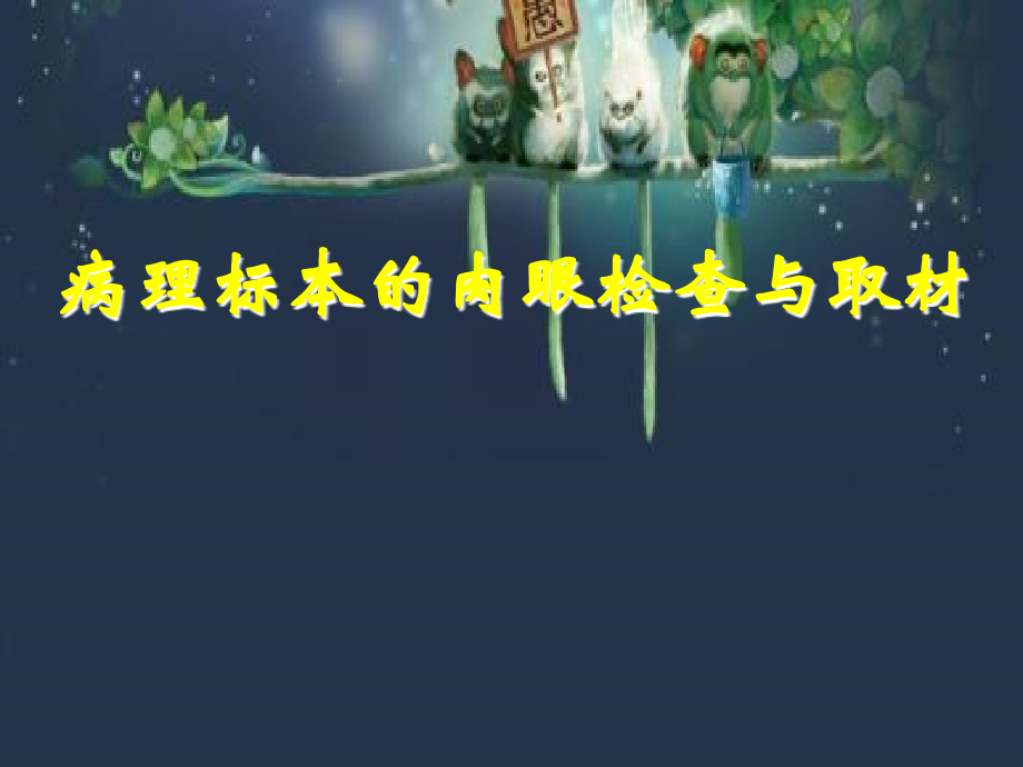 病理标本的肉眼检查与取材.ppt_第1页