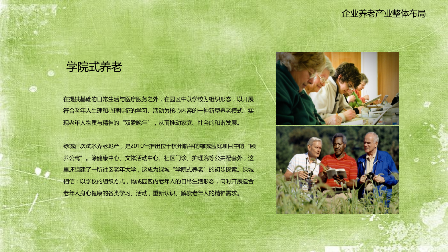 养老案例分析.ppt_第2页