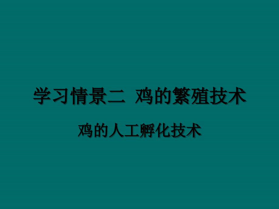 鸡的孵化技术.ppt_第1页