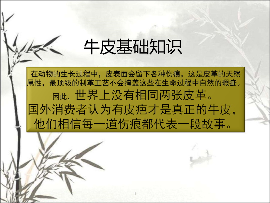 牛皮基础知识课件.ppt_第1页