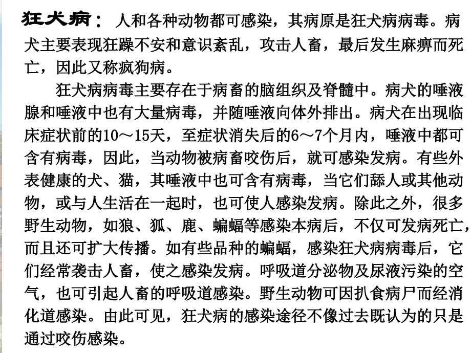 巴斯德征服狂犬病课件.ppt_第2页