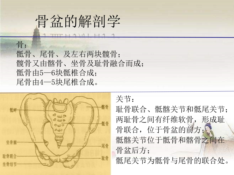 骨盆骨折护理.ppt_第2页