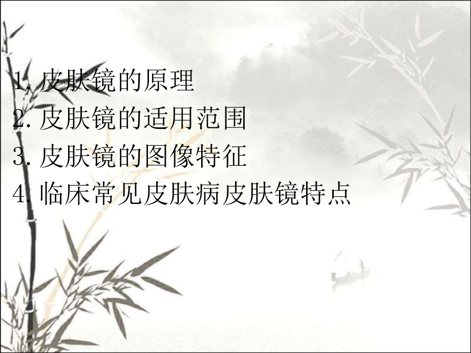 皮肤镜的临床应用.ppt_第2页