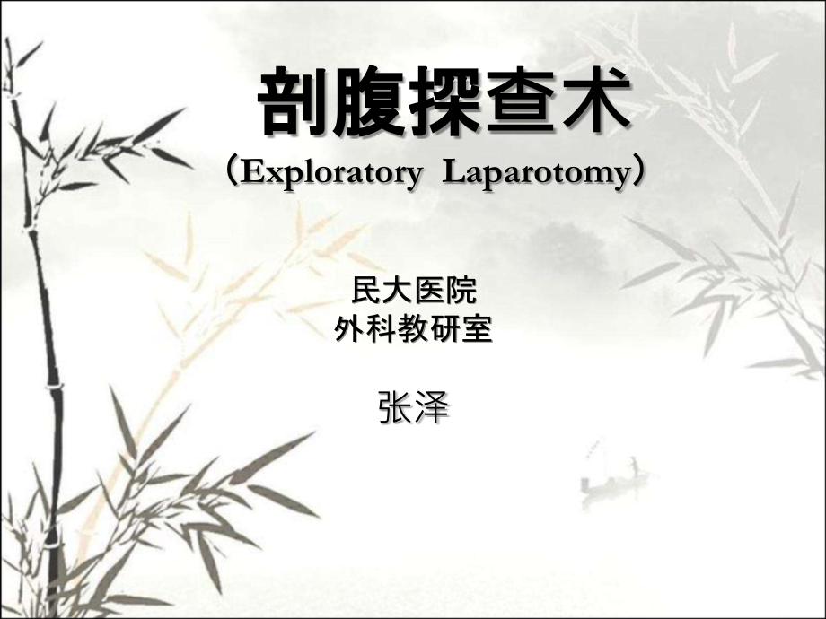 剖腹探查术.ppt_第1页