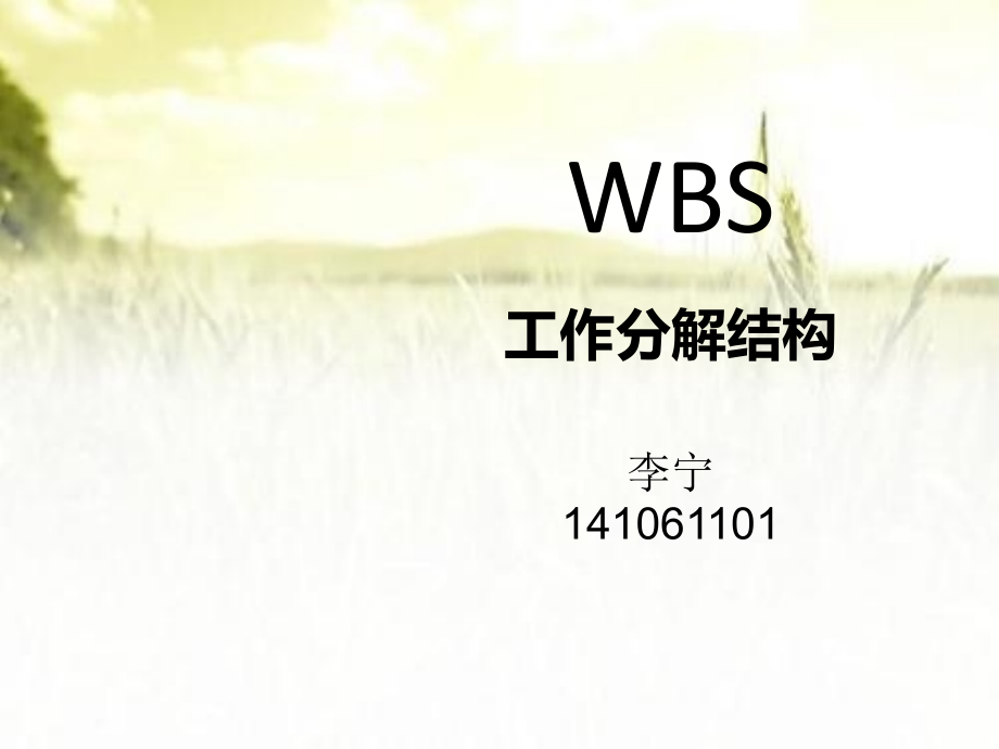 工作分解结构示例.ppt_第1页