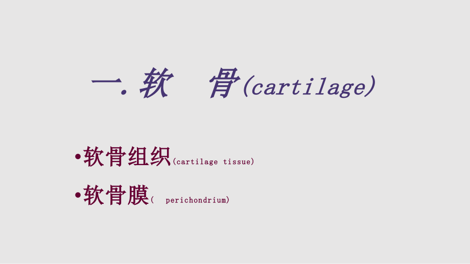 软骨和骨组织学习PPT教案.pptx_第1页