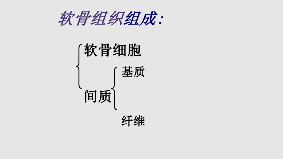 软骨和骨组织学习PPT教案.pptx_第2页