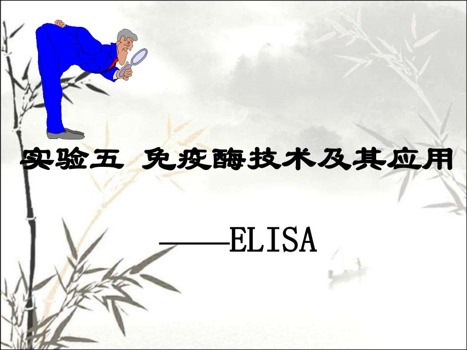 ELISA实验原理及操作课件.ppt_第1页