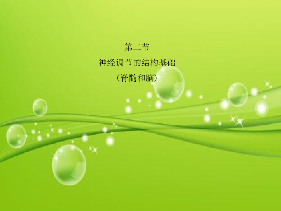 神经调节的结构基础课件.ppt_第2页