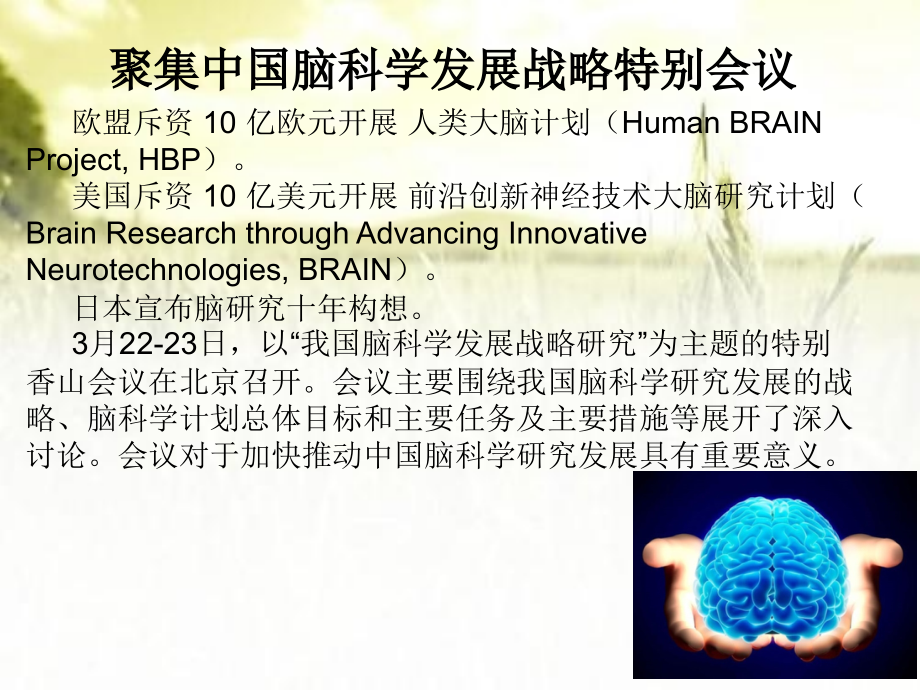 第4章神经系统的信号传递.ppt_第2页