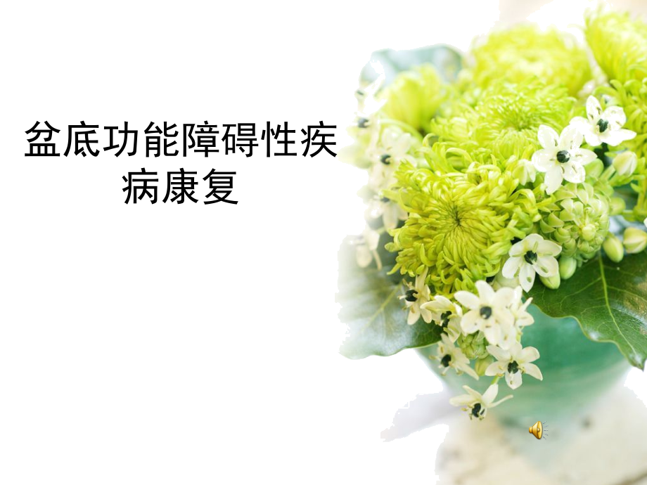 盆底功能障碍性疾病康复.ppt_第2页