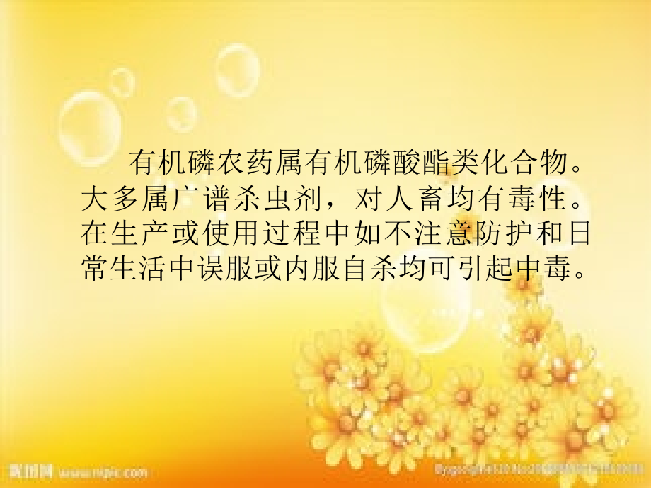 有机磷中毒的治疗与护理.ppt_第2页