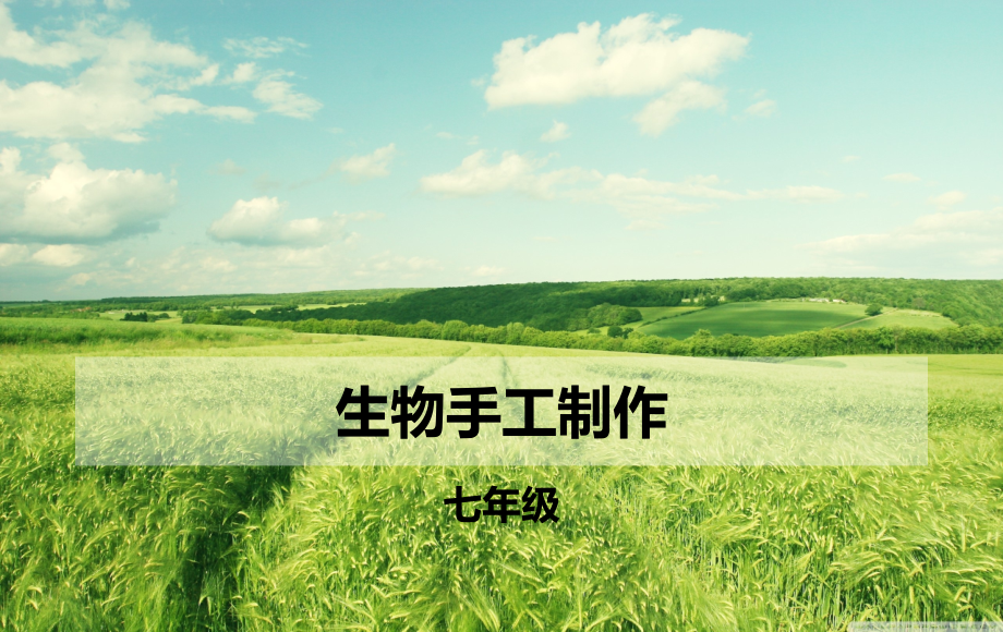 生物手工制作样本课件.ppt_第1页