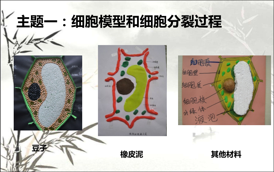 生物手工制作样本课件.ppt_第2页