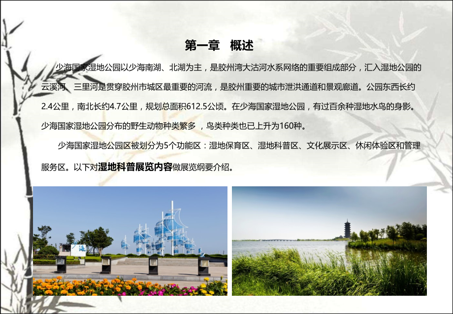 少海湿地科普馆方案课件.ppt_第2页