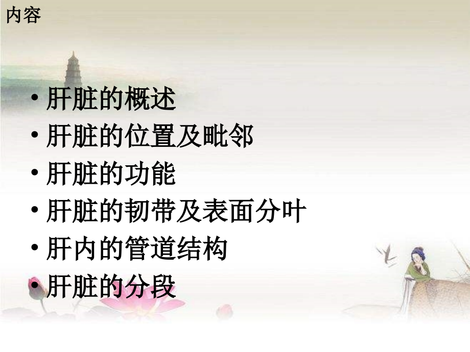 肝脏解剖及功能.ppt_第2页