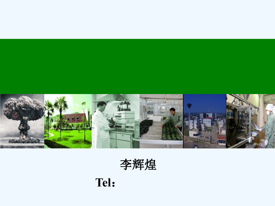 葡萄地草铵膦示范实验效果展示.ppt_第2页