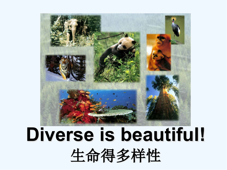 绪论生物化学简明教程.pptx_第2页