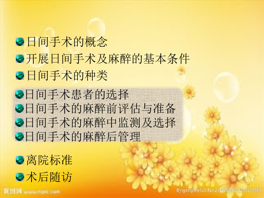 日间手术麻醉专家共识.ppt_第2页
