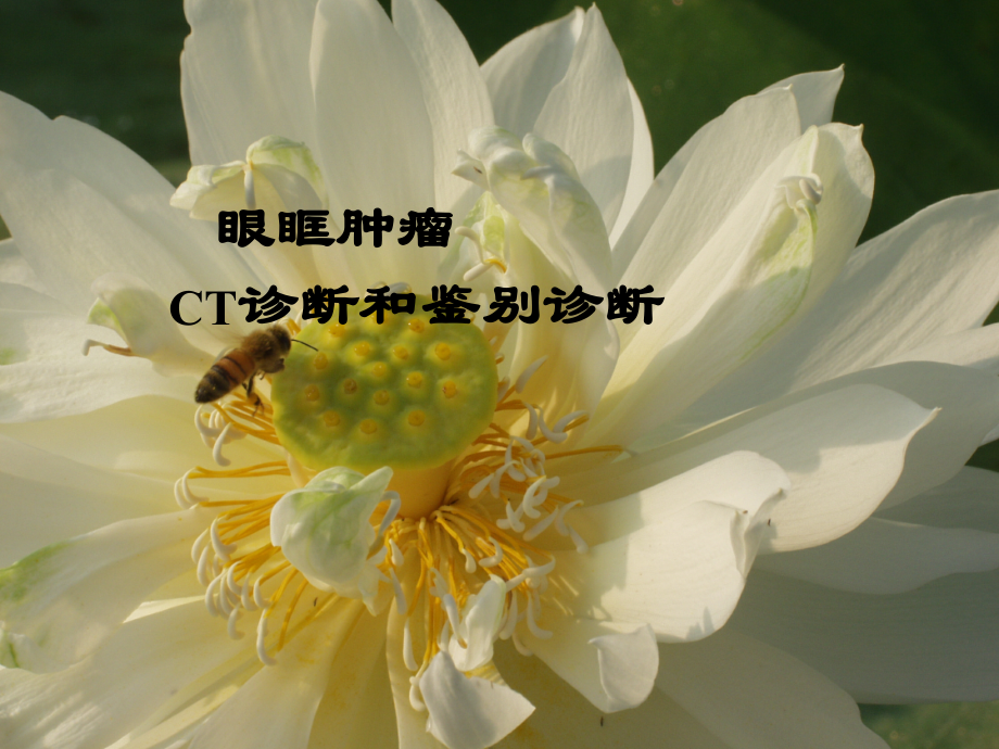 眼眶肿瘤CT诊断和鉴别诊断.ppt_第1页
