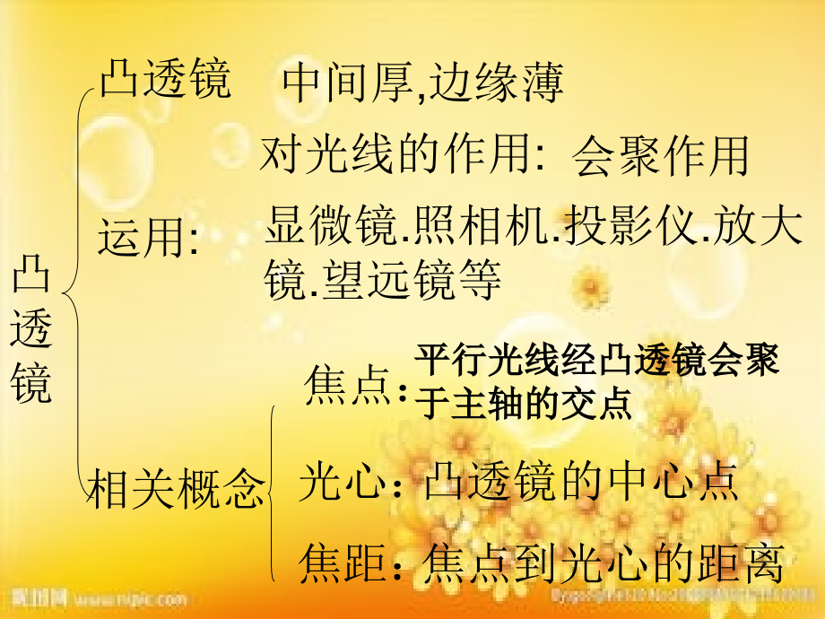 照相机、投影仪、放大镜的成像原理.ppt_第1页