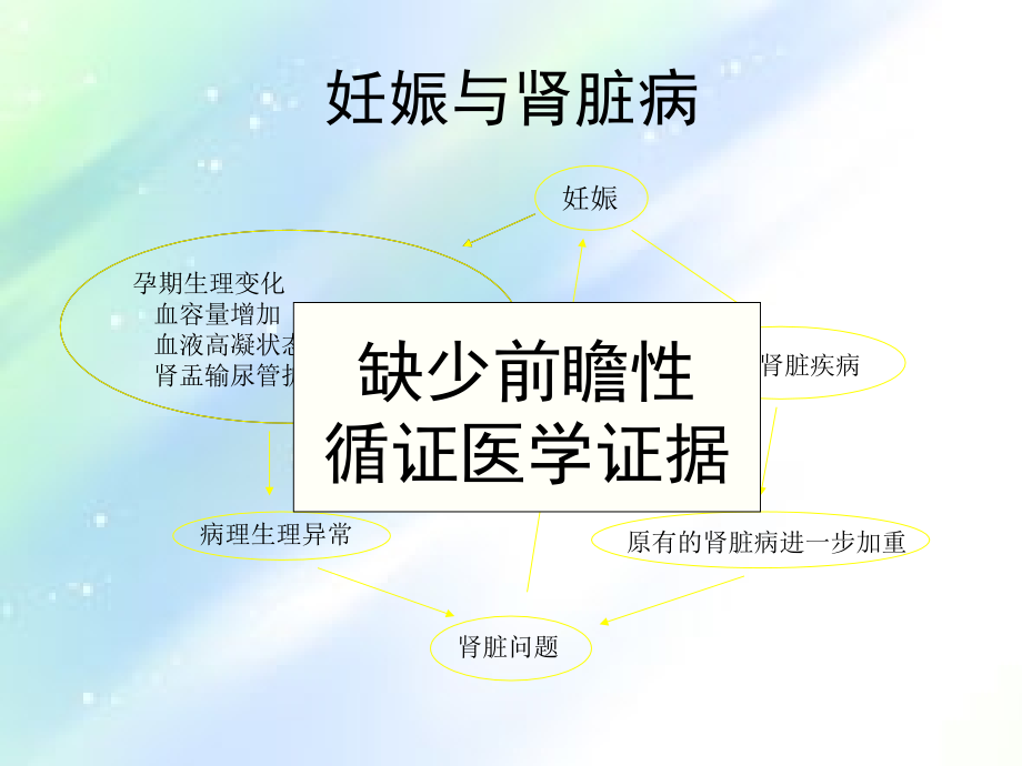 妊娠和肾脏病.ppt_第2页