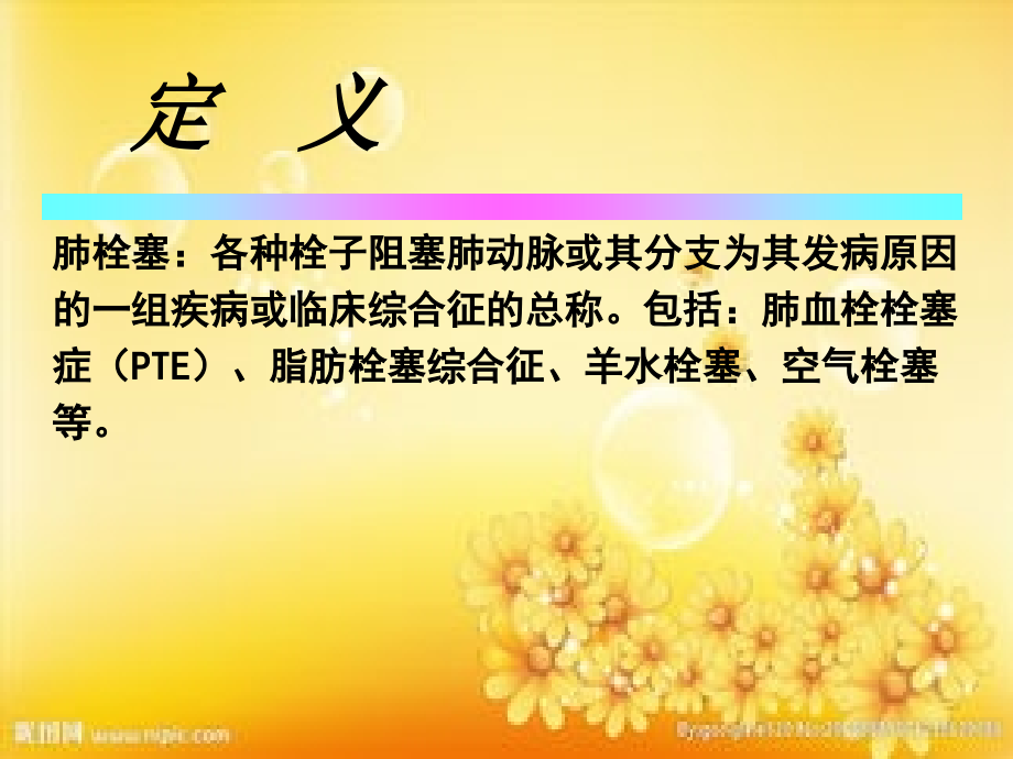 肺动脉栓塞的治疗.ppt_第2页