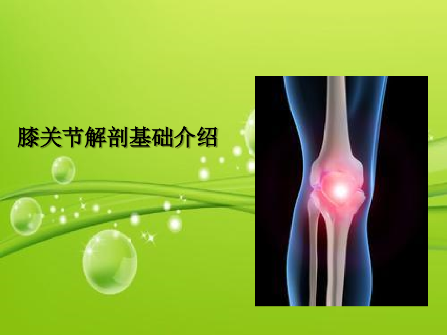 膝关节解剖基础介绍.ppt_第2页