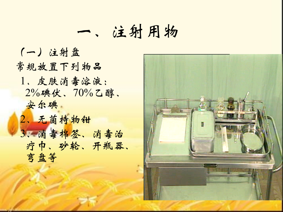 注射给药法.ppt_第2页