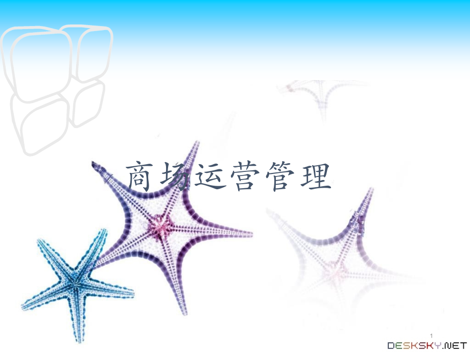 商场运营管理.ppt_第1页