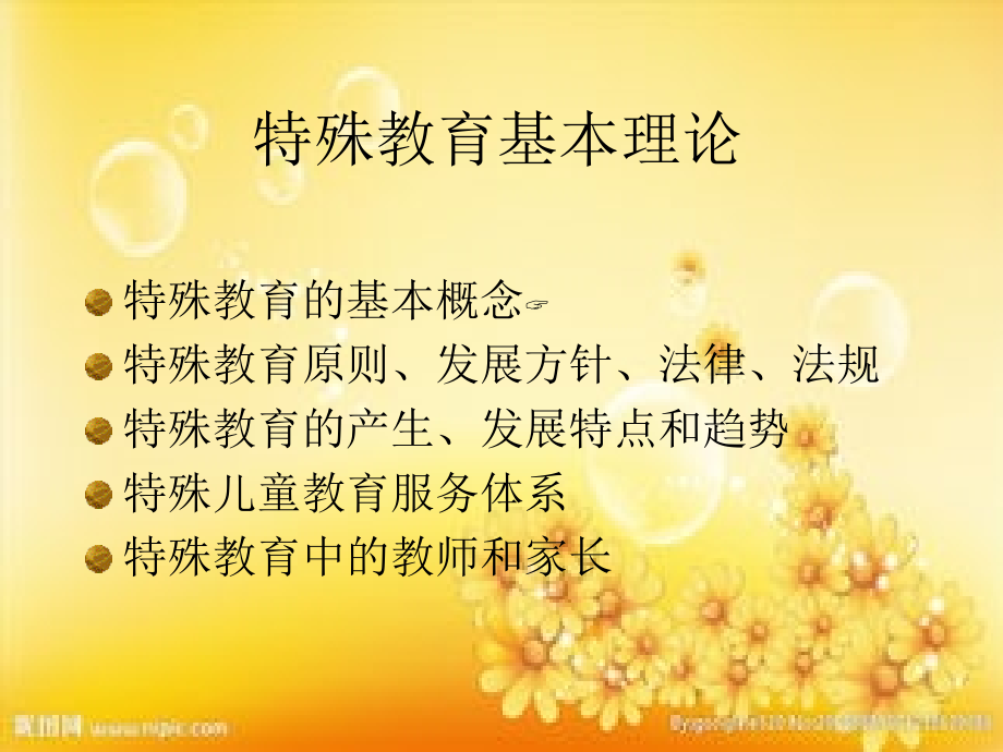 特殊教育概论.ppt_第2页